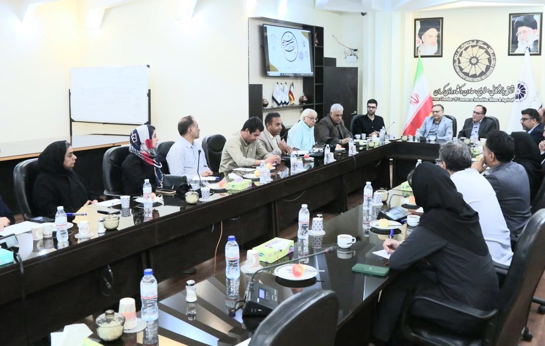 ایرانمنش رییس کانون جهانگردی و اتومبیلرانی استان کرمان: دومین رالی خشت تا خشت کرمان در سه ایستگاه ارگ بم،ارگ راین ، خانه حاج اقا علی