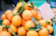 روش نگهداری پرتقال به مدت طولانی