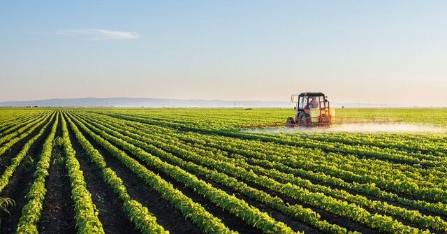 سرنوشت صادرات محصولات کشاورزی ایران در دوره کرونا