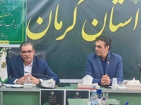 قزلباش مدیر امور شعب بانک کشاورزی استان کرمان : ۳۴ واحد تولیدی راکد با پرداخت صدو دوازده هزار میلیارد تومان تسهیلات فعال شدند