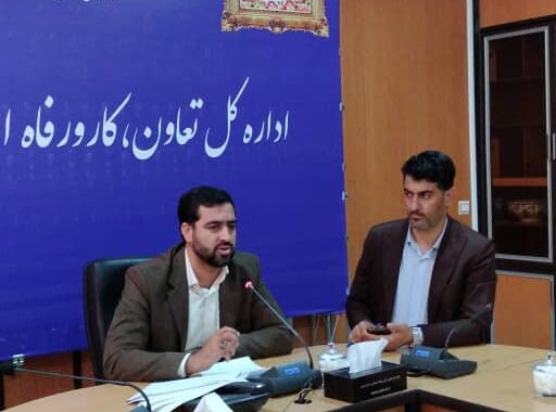 ابراهیمی مدیرکل تعاون،کار و رفاه اجتماعی استان کرمان: صاحبان کسب و کارهای پوشاک،کنجد و سنگ فیروزه در طرح حمایتی طاها مشارکت کنند