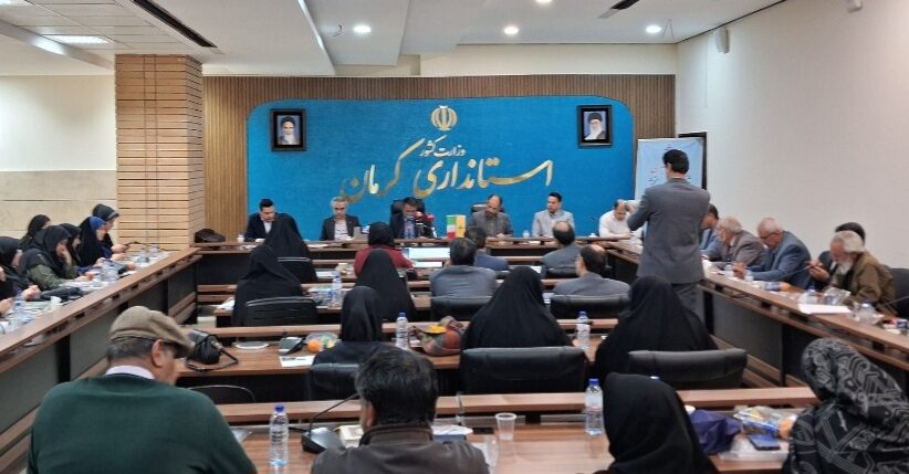 سلیمانی مدیر عامل شرکت گاز کرمان: تاکنون ۲۸۱۹ روستا در استان از نعمت گاز طبیعی برخوردار شدهاند